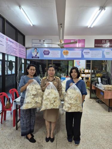 สำนักงานพัฒนาชุมชนอำเภอกุสุมาลย์ : รับมอบดอกไม้จันทน์ งานพระราชพิธีถวายพระเพลิงพระบรมศพ สมเด็จพระนางเจ้าสิริกิติ์ พระบรมราชินีนาถ พระบรมราชชนนีพันปีหลวง